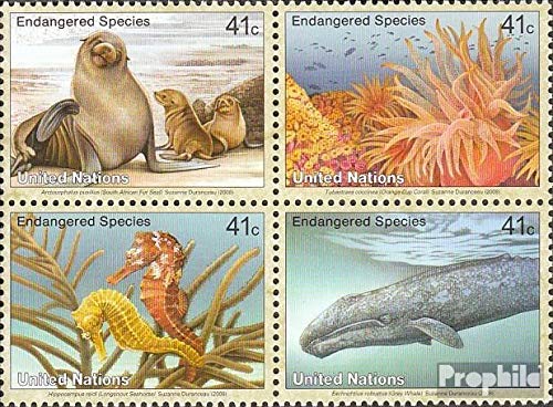 Prophila Collection Naciones Unidas - Nuevo York 1079-1082 Bloque de Cuatro (Completa.edición.) 2008 Fauna Marina (Sellos para los coleccionistas) Los Animales acuáticos