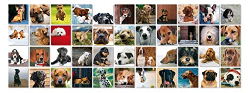 Remember 44 Dogs – Juego de memoria con diseño de perro para los amantes de los perros, 15,8 x 21,6 x 7,5 cm