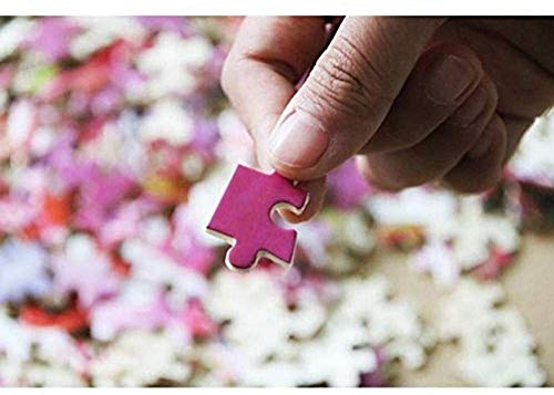 Rompecabezas Jigsaw Puzzle 1000 Piezas de Bricolaje Jaipur, Rajasthan, India - Información de Viajes, Historia, STOR clásico Puzzle Bricolaje Juguete del Kit decoración del hogar