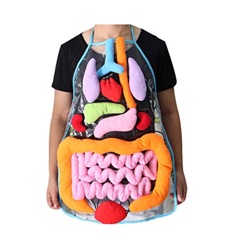 SMILEQ Aprendizaje Educativo Juguetes para niños Anatomía Delantal Órganos del Cuerpo Humano conscientes (Multicolor)