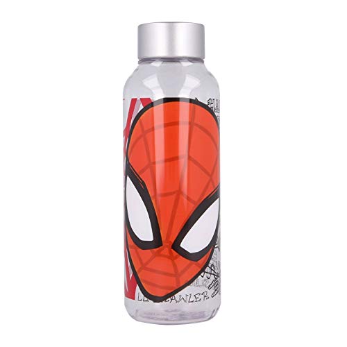Stor Botella TRITAN HIDRO 660 ML Spiderman Urban Web