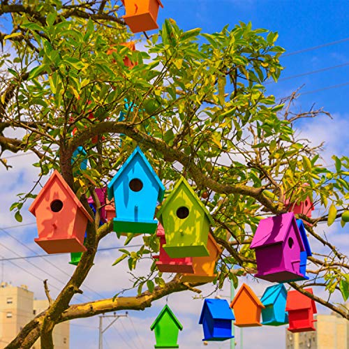 Tacobear Casa de Pájaros Madera Manualidades Kit para Ninos Casa de pájaros para Pintar de Bricolaje Construir Casa Pájaros Colgar Pintura Juguetes Creativo Regalo para niños