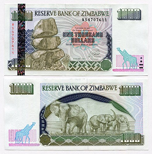 Zimbabwe 1000 Dólares 2003 UNC, billetes de banco en moneda de inflación mundial, P12