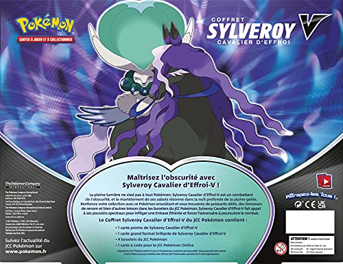Pokémon POEBAOU21, Estuche de Cartas coleccionables para Juego de Mesa, colección Calyrex Jinete Glacial V o Calyrex Jinete Espectral V (Modelo al Azar), Multicolor
