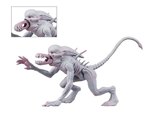 Alien vs Predator - Figura de acción Alien neomorfo y niño