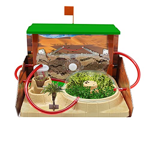 Cefa Toys- Hormicefa Plus, Hábitat Natural Acuático y Terrestre de Hormigas, Apto para Niños a Partir de 8 años (21851)