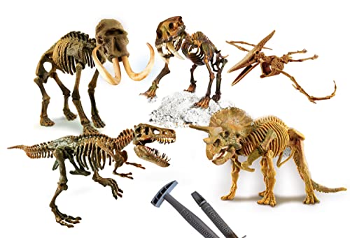 Clementoni- Science & Play Lab - Prey and Predators - excavaciones fósiles 5 en( 97857)
