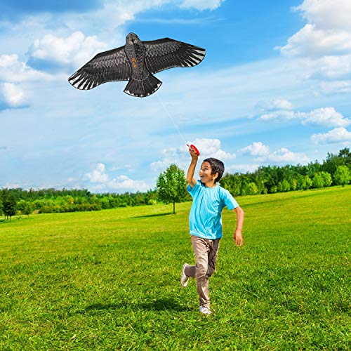 Gran Cometa De águila Negra Para Niños y Adultos - Gran envergadura y diseño realista - Muy fácil de volar - Se ve excelente en el cielo