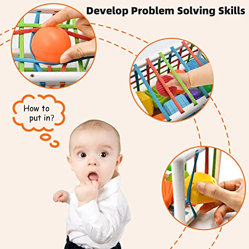 Juguetes de Habilidades Motoras para Bebé 6 9 12 15 Meses, Juegos Montessori Educativos Aprendiendo Caja de Clasificación Sensorial con 6 Piezas Textura Ball y 6 Bolas Blandas Juguetes niños 1 año