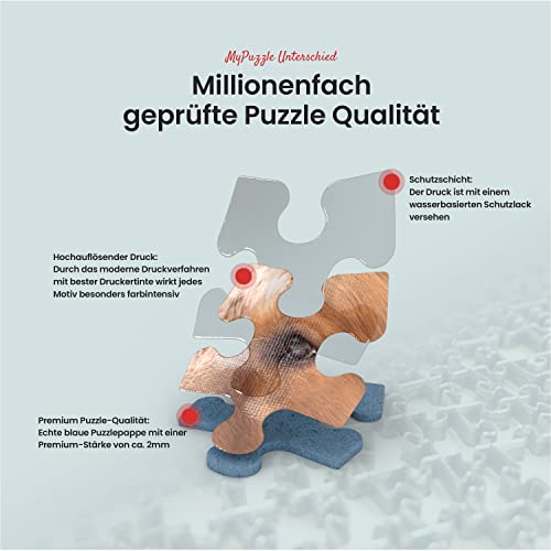 La Tierra por La Mañana, Europa Central - Visualización 3D - Premium 1000 Piezas Puzzles - Colección Especial MyPuzzle de Puzzle Galaxy