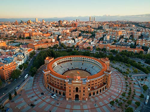 Lais Puzzle Vista aérea de la Plaza de toros de Madrid Las Ventas 1000 Piezas