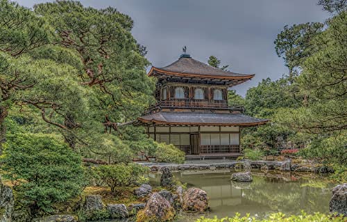 MA-XXUOUO Rompecabezas de 1000 Piezas, árboles del Templo de Las pagodas del Estanque de la Naturaleza de Kyoto Japón