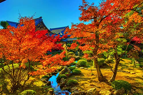 MA-XXUOUO Rompecabezas de 1000 Piezas, Kyoto Japón Autumn Stream Nature Trees
