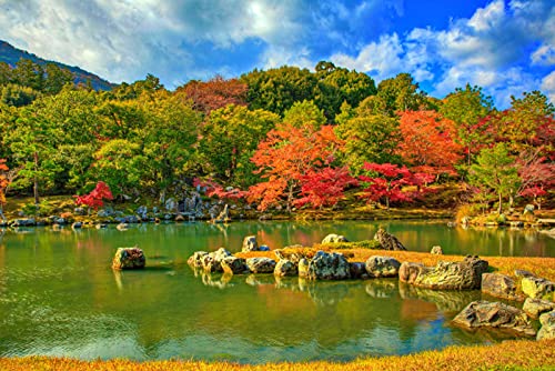 MA-XXUOUO Rompecabezas de 1000 Piezas, Kyoto Japón Tenryuji Temple Park Autumn Nature Pond