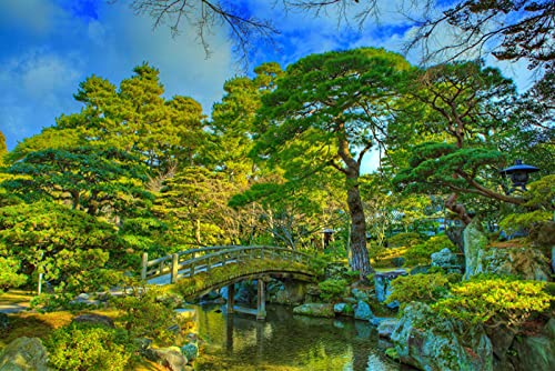 MA-XXUOUO Rompecabezas de 1000 Piezas, Parque del Palacio Imperial de Kyoto, China, Estanque de Puentes Naturales