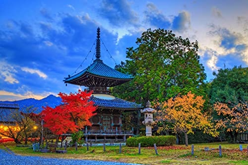 MA-XXUOUO Rompecabezas de 1000 Piezas, Rayos de luz Kyoto Japón Seiryo-ji Parque Natural de otoño