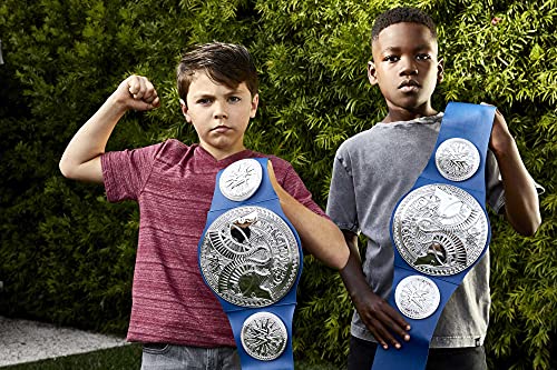 Mattel WWE-Cinturón de campeonato Smackdown, juguetes niños +8 años FLB12, multicolor , color/modelo surtido
