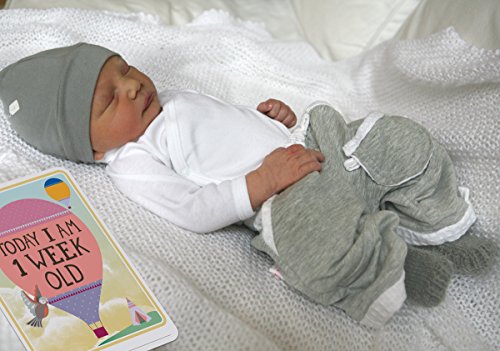 Milestone Baby Cards - Cartas para fotografías (inglés)