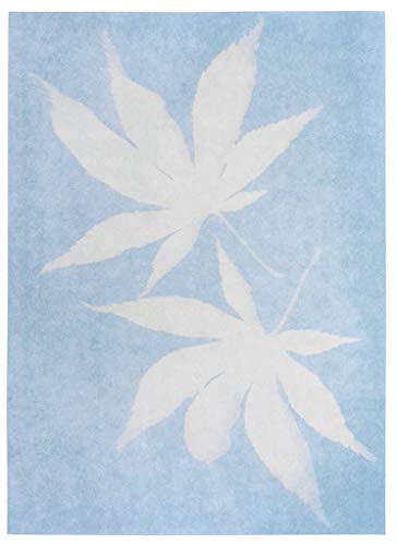 moses- Sonnendruck-Papier Papel para impresión Solar Set 10 Hojas, Color Azul Claro (XMS-30318)