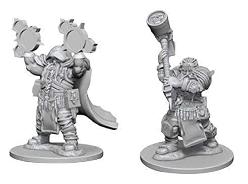 Nolzur's Marvelous Unpainted Minis: Dwarf Male Paladin