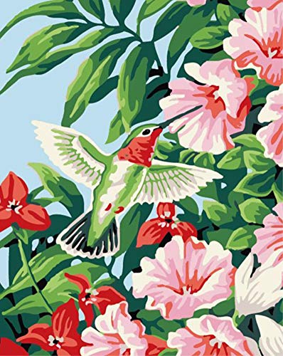Pintura por números para adultos y niños, flor roja y rosa y pájaro, 40,6 x 50,8 cm