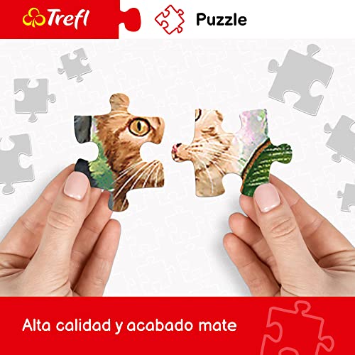Puzzle 1000 Spiacy lew