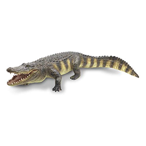 RECUR Juguete de cocodrilo Americano Figuras de cocodrilo de 22.8 Pulgadas de plástico Modelo Creativo Regalos para Animales Salvajes coleccionistas y Juguetes para niños