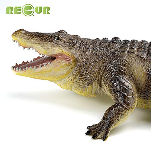 RECUR Juguete de cocodrilo Americano Figuras de cocodrilo de 22.8 Pulgadas de plástico Modelo Creativo Regalos para Animales Salvajes coleccionistas y Juguetes para niños