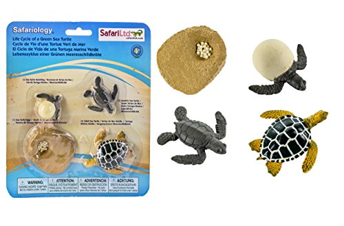 Safari-662316 Life Cycle of a Green Sea Turtle Figurines (662316)