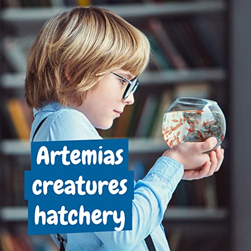 Science4you Artemias, Criaturas Jurasicas para Niños 6+ Años - Crea tu Ecosistema Acuatico con Dragones de Agua en Acuario para Niños, Set Ciencia para Niños con Artemias, Juguete Educativo