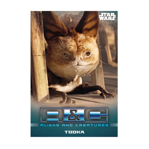Topps Star Wars Mandalorian Trading Cards - Caja Premium