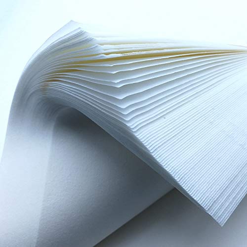 100 hojas Papel de arroz imprimible, de caligrafía china cepillo escritura papel tinta, papel de dibujo para pintar,semi-tratado (papel Xuan) para caligrafía y pintura, A3 (297 mm x 420 mm)