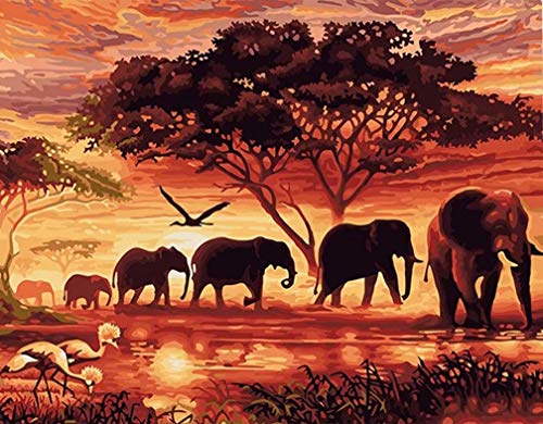 Awesocrafts Kit de pintura numérica, Paisaje de África, Animales africanos, Elefante árbol de la puesta de sol, pintura por número 40,6 x 50,8 cm, para adultos y niños (África)