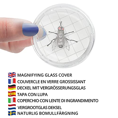 Belle Vous Bote para Insectos con Aumento (Pack de 12) Visor Insectos Transparente Caja Observación – Jaula Portátil para Insectos/Exploración Naturaleza y Atrapar Bichos – Para Niños y Adultos