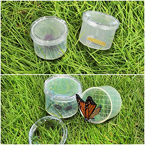Belle Vous Bote para Insectos con Aumento (Pack de 12) Visor Insectos Transparente Caja Observación – Jaula Portátil para Insectos/Exploración Naturaleza y Atrapar Bichos – Para Niños y Adultos