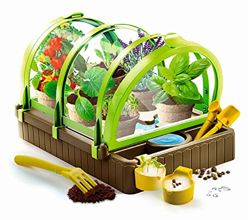 Clementoni-52564 – Mi jardín bajo Invernadero – Juego científico – Versión Francesa – Play For Future – Fabricado en Italia (52564)