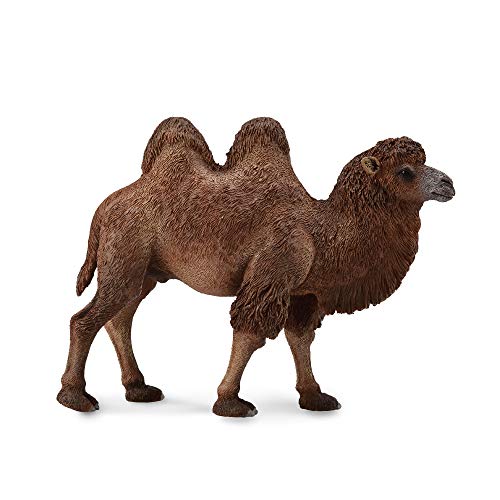 Collecta Camello bactriano