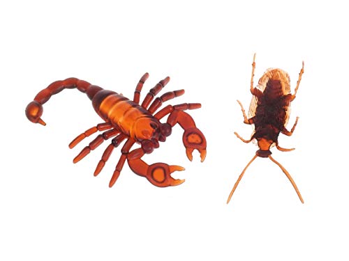 CoolChange Set de Insectos espantosos Decorativos | 150 Piezas | artículos de Broma de Halloween | decoración con arañas, cucarachas, Hormigas