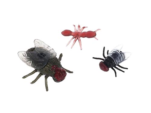 CoolChange Set de Insectos espantosos Decorativos | 150 Piezas | artículos de Broma de Halloween | decoración con arañas, cucarachas, Hormigas