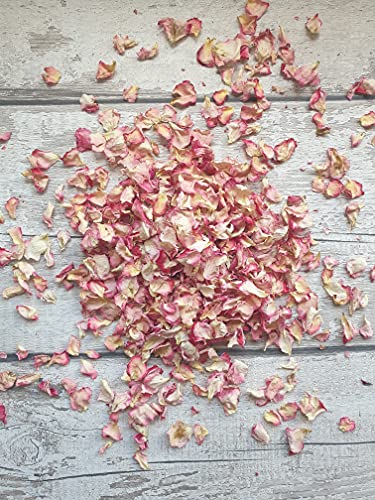 Fun Floral Fusions 10 paquetes transparentes rellenos de pétalos naturales de color rojo y crema Ombre – confeti de boda – pétalos de flores secas, confeti de pétalos reales – confeti de celebración