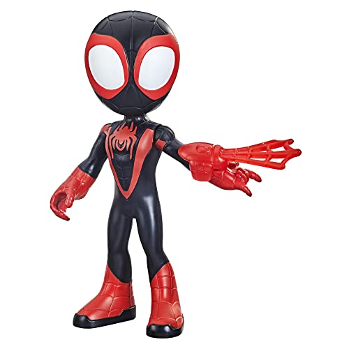 Hasbro Marvel Spidey and His Amazing Friends Supersized Miles Morales: Figura de acción Spider-Man, Juguete Preescolar para niños de 3 años en adelante