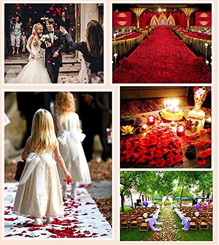 huaao 3000pcs Pétalos de Rosa Rojos Artificiales de Seda Decoración Romántico para día de San Valentín/Bodas/Fiestas/Ambiente Romántico/Proponer/Banquete de Boda/Confeti