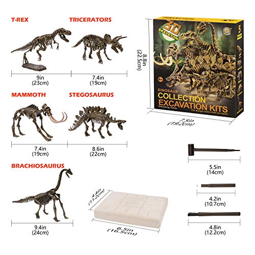 JamBer Juego de Dinosaurios Juguetes Fósiles de Excavación Modelo de Dinosaurio para Niños Niñas
