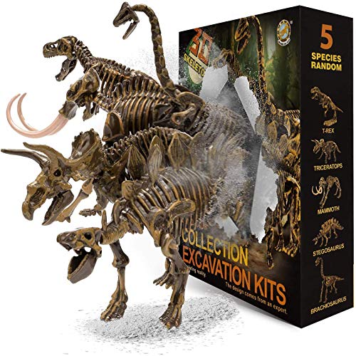 JamBer Juego de Dinosaurios Juguetes Fósiles de Excavación Modelo de Dinosaurio para Niños Niñas