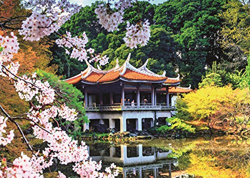 Jumbo- Flores en Japón, Puzzle de 1000 Piezas (618361)