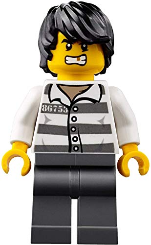 LEGO City Policía 60175 - Atrás en el río de montaña