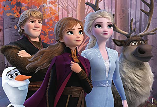 Lisciani Puzzle para niños, 4 puzles de 48 piezas 2 en 1, Doble Cara con reverso para colorear - Disney Frozen 2 La reina de las nieves 86603