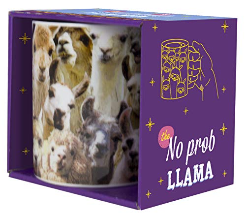 No Prob Llama - Taza