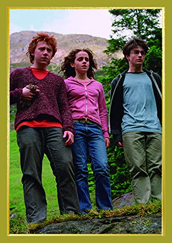 Panini France SA Manuel DU SORCIER pochettes Harry Potter – El Manual de la Salida, blíster de 12 + 1 Fundas (004279KBF13)