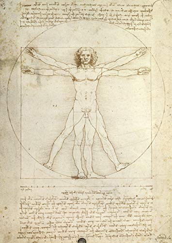 Ravensburger Puzzle 1000 Piezas, Leonardo: El Hombre De Vitruvio, Arte, para adultos, Rompecabezas de calidad